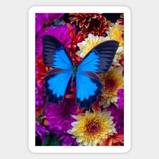 Big Blue Butterfly On Poms Bouquet Sticker